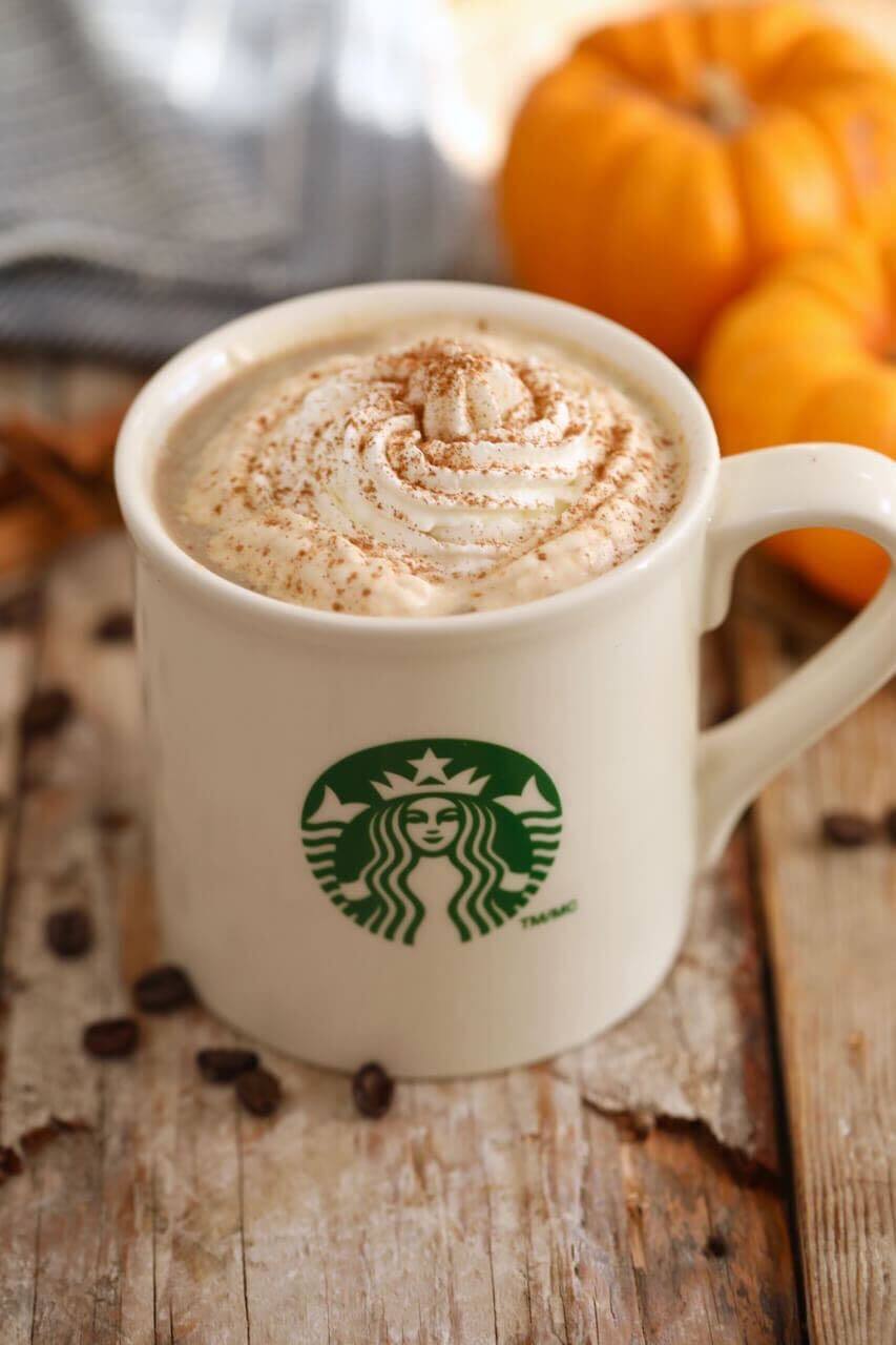 The warm Pumpkin Spice Latter is served in a white coffee mug, topped with freshly whipped cream and sprinkled with aromatic cinnamon. Two pumpkins are in the background. 